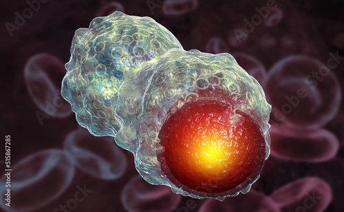 Cancer cells or T cell, Structure of cancer cells, 3d illustration photo