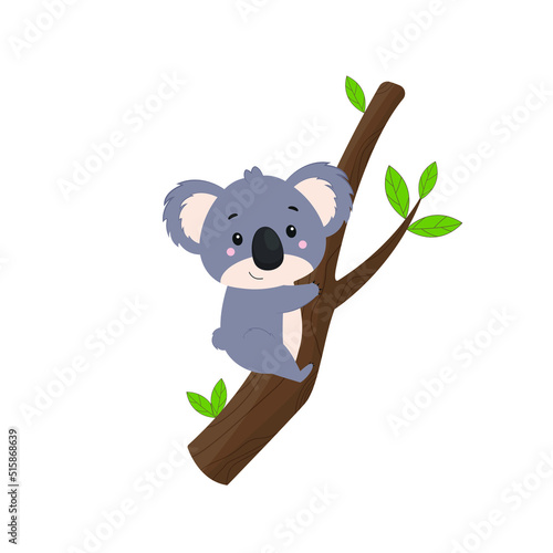 A small koala lies on a eucalyptus branch. Vector illustration