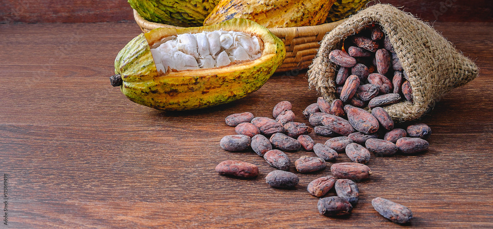 Cut in half fresh cacao fruit or cocoa pods and dry cocoa beans in a brown sack on wooden background.