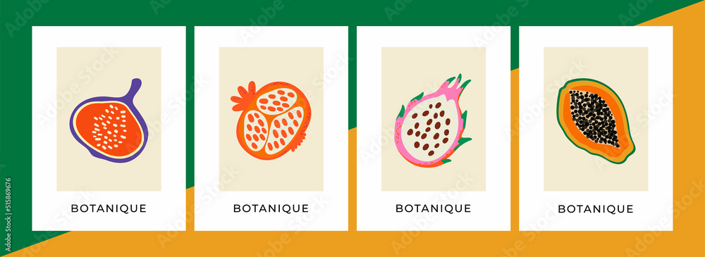 4 posters with wild fruits are perfect not only for home, but also for office interior. Vector illustration. The size of each poster is 18x24