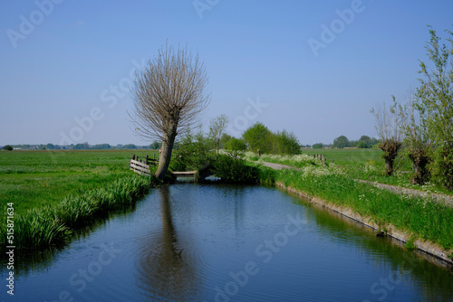 Polder with grass, water and small bridges in the polder, The Netherlands