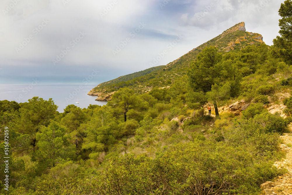 View of the south-east coast of the natural park of the island of Sa Dragonera, with the Na Pòpia peak with an altitude of 360 mt. Balearic Islands, Spain
