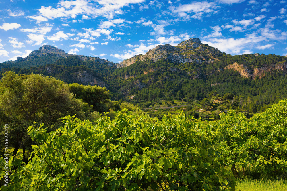 Obraz premium View of the mountains of the Sierra of Tramontana, from the coast of Estelleschs in Mallorca, Balearic Islands, Spain