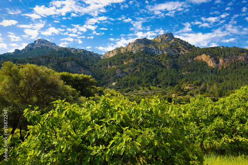 View of the mountains of the Sierra of Tramontana, from the coast of Estelleschs in Mallorca, Balearic Islands, Spain