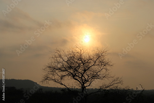 sunrise in the desert