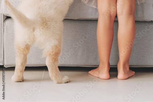 Child and dog stand on floor near sofa at home. Close up kid bare feet and hind legs puppy dog