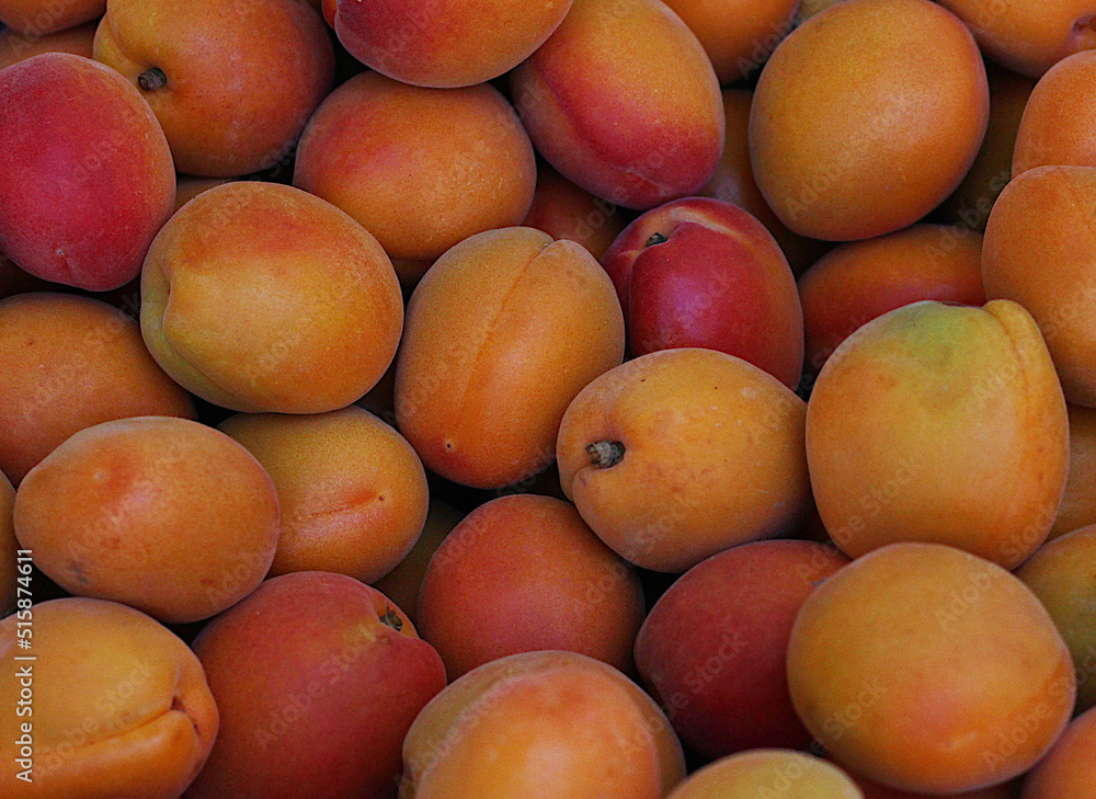 Close up of fresh ripe apricots. Apricots background Close up of fresh ripe apricots. Apricots background