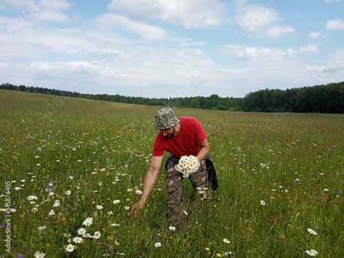 A man collects a bouquet of flowers in a meadow.