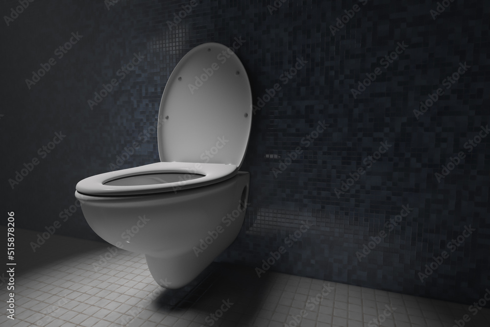 Open clean toilet bowl in restroom. Human life and comfort Open clean toilet bowl in restroom. Human life and comfort