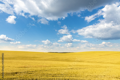 Blue Sky With White Clouds Over Yellow Field