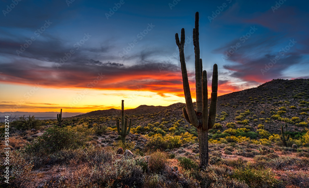 sunset over the desert