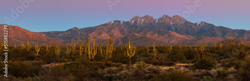 Four Peaks Wilderness, Arizona
