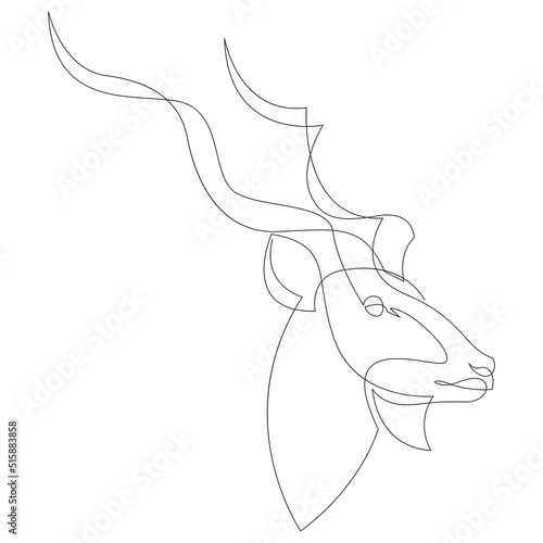 Greater kudu head minimalist drawing. Continuous line art. Vector illustration. photo