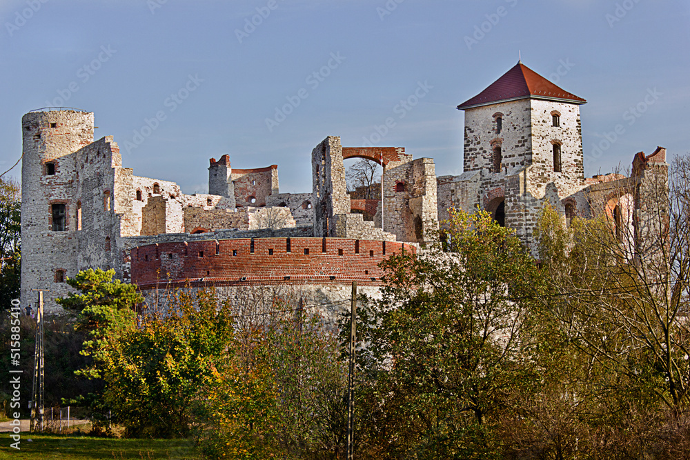 Tenczyn medieval castle  in Rudno, Poland
