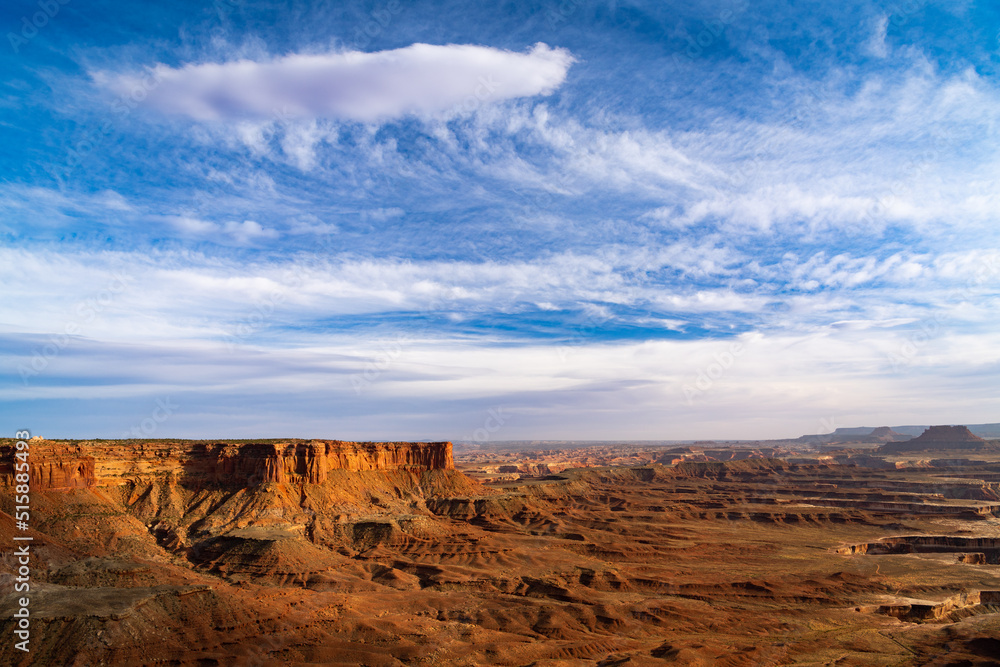 Vast barren, desert landscape of canyons and mesas under a dramatic sky 
in Canyonlands National Park, Utah