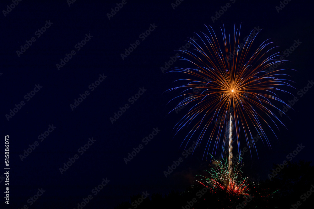 Colorful fireworks celebration in the night sky with free space for text
