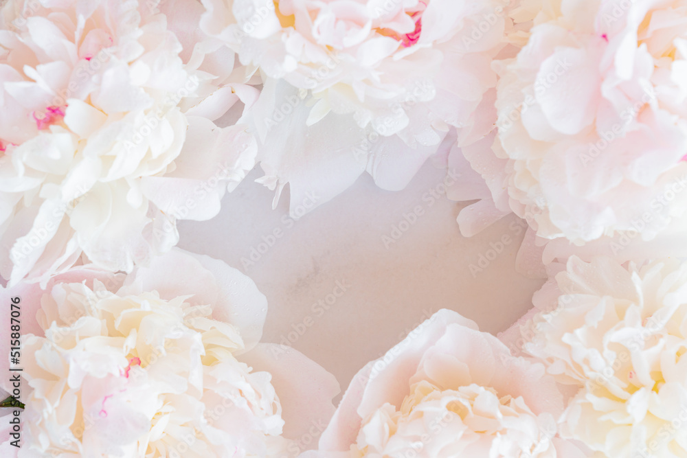 Fototapeta premium Beautiful blooming peony flowers on marble background. Trendy mockup with space for your design