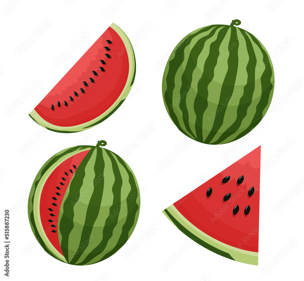 Set of 4 watermelon parts cartoon vector illustration. Whole watermelon, slices. Melon. Exotic fruit on white background. Set of 4 watermelon parts cartoon vector illustration. Whole watermelon, slices. Melon. Exotic fruit on white background.