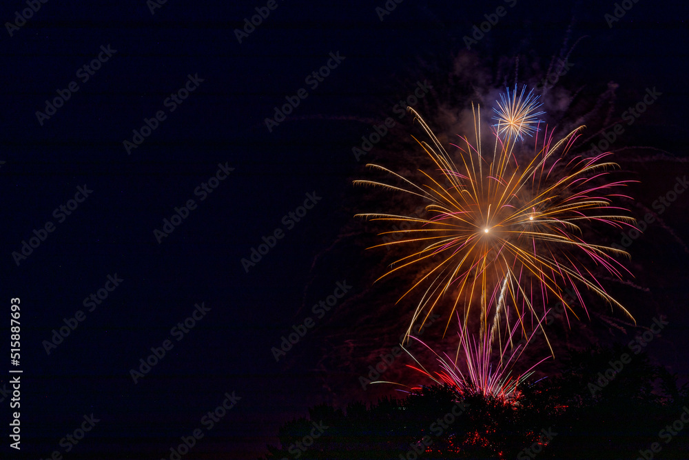 Colorful fireworks celebration in the night sky with free space for text
