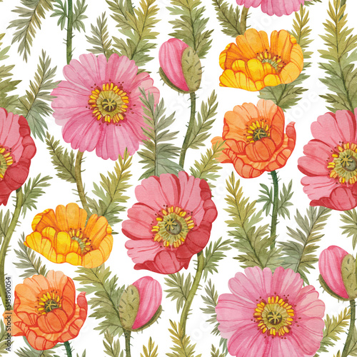 Wallpaper Mural Seamless pattern with colorful watercolor poppies. Botanical print with yellow, pink and red poppies on a white background. Torontodigital.ca