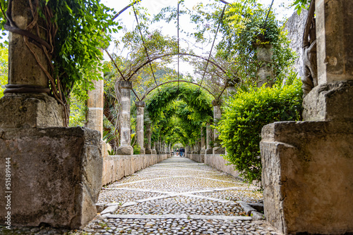stone way  in the park