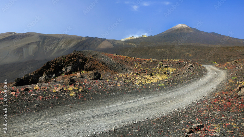 Etna panoramic view - Path leading to the top crater Etna panoramic view - Path leading to the top crater