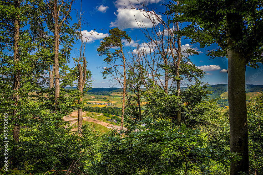 Fototapeta premium Im Naturpark Stromberg-Heuchelberg