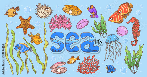 Set with marine inhabitants in the underwater world in the style of a doodle.