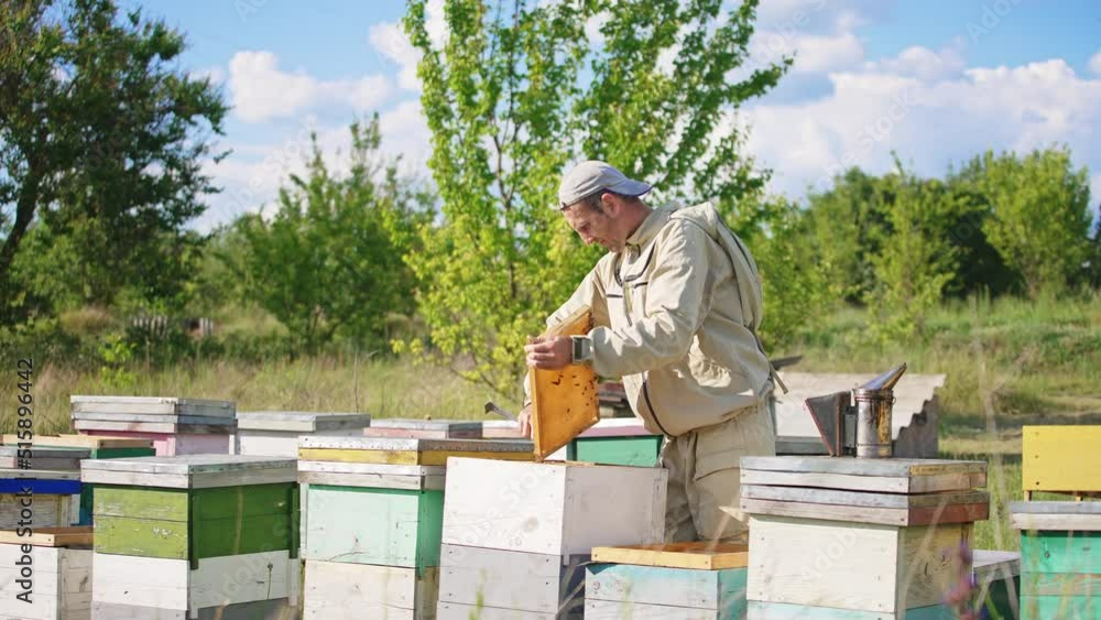 Hard-working apiarist working at the rural bee farm. Specialist placing an empty frame into one of the hives. Nature backdrop. Hard-working apiarist working at the rural bee farm. Specialist placing an empty frame into one of the hives. Nature backdrop.