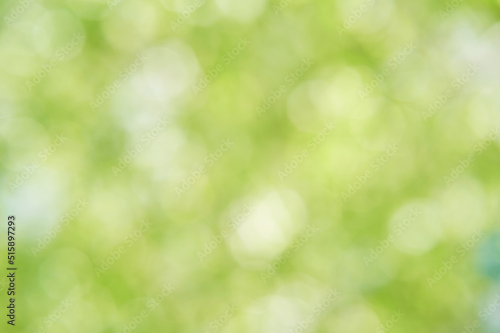 Bokeh circle with green sparkles background. Grass glitter backdrop. Tree texture. New year luxury snow. Copyspace. Shimmer confetti wallpaper. Dreamy shiny design detail Bokeh circle with green sparkles background. Grass glitter backdrop. Tree texture. New year luxury snow. Copyspace. Shimmer confetti wallpaper. Dreamy shiny design detail