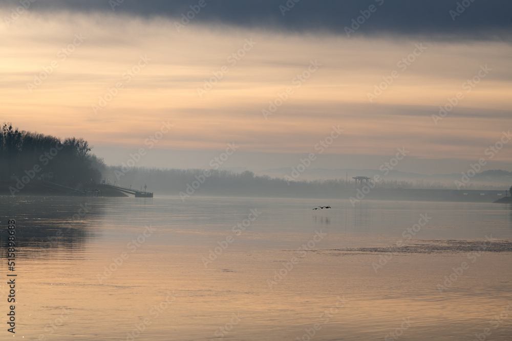 Donau mit Wildenten im Morgennebel Donau mit Wildenten im Morgennebel
