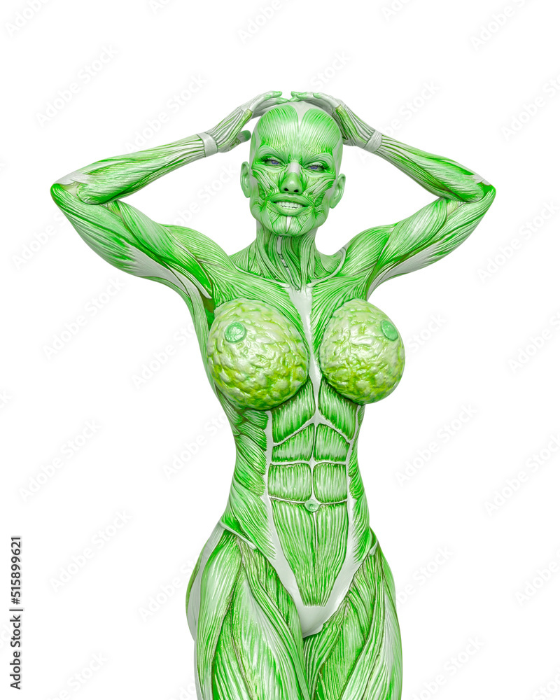 female bodybuilding in muscle maps is doing a bodybuilder pose two in white background close up view female bodybuilding in muscle maps is doing a bodybuilder pose two in white background close up view