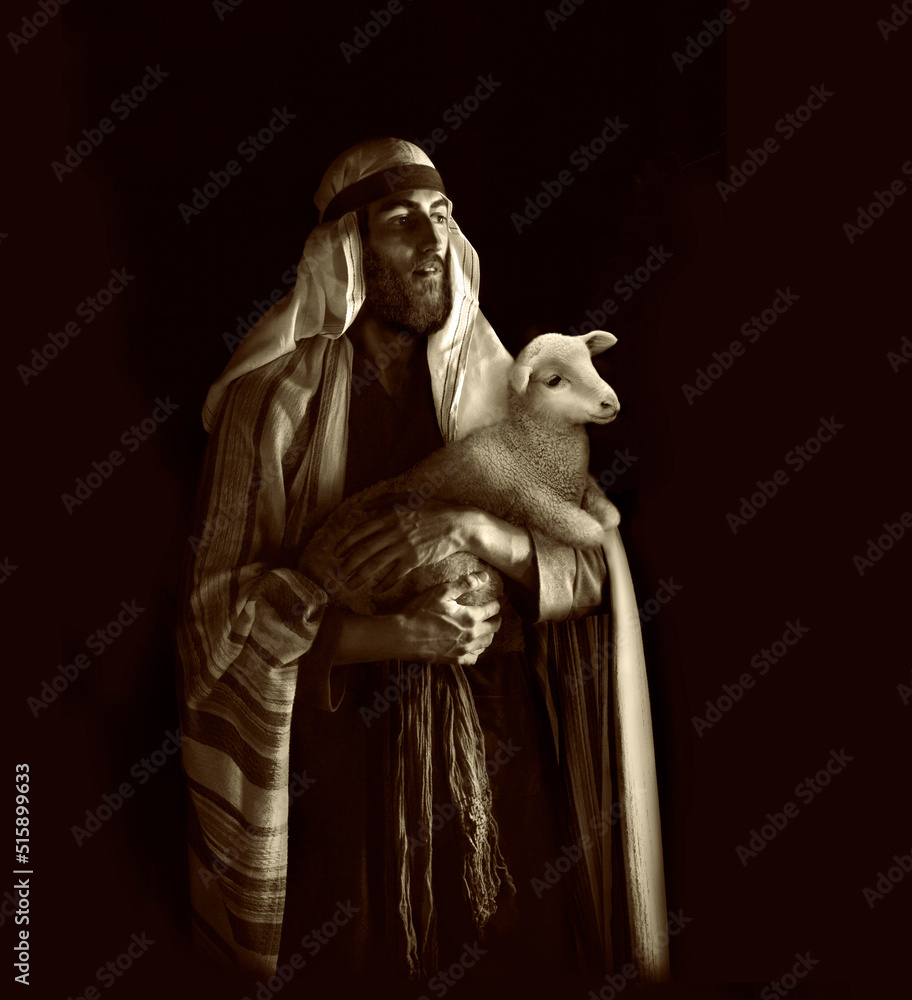 Naklejka premium Shepherd hold a sheep in his arms