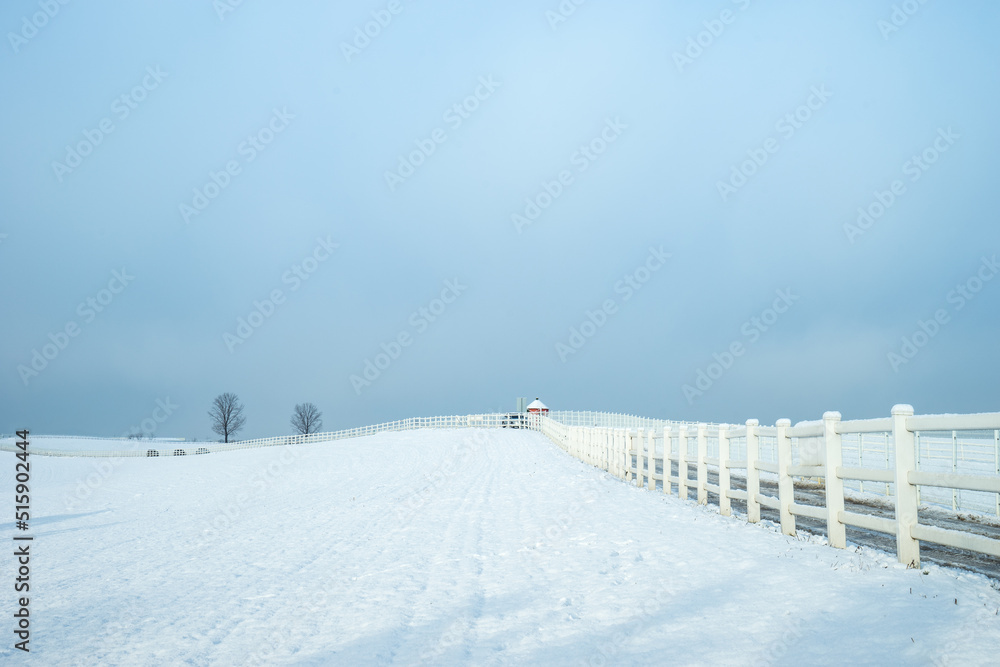 Fototapeta premium 안성목장의 설경