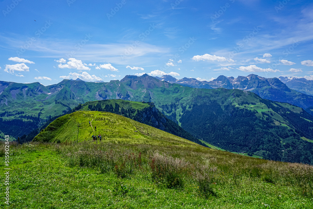 Idyllic landscape in the Alps with fresh green meadows and blooming flowers and snow-capped mountain tops in the background Idyllic landscape in the Alps with fresh green meadows and blooming flowers and snow-capped mountain tops in the background