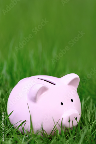 .Pink Piggy bank on green grass in summer, copy space. World crisis concept. Vertical photo