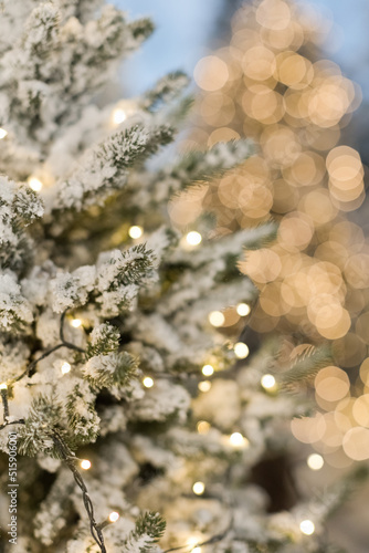 Christmas trees with lights and snow