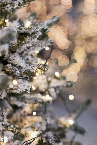Christmas trees with lights and snow © aprilante