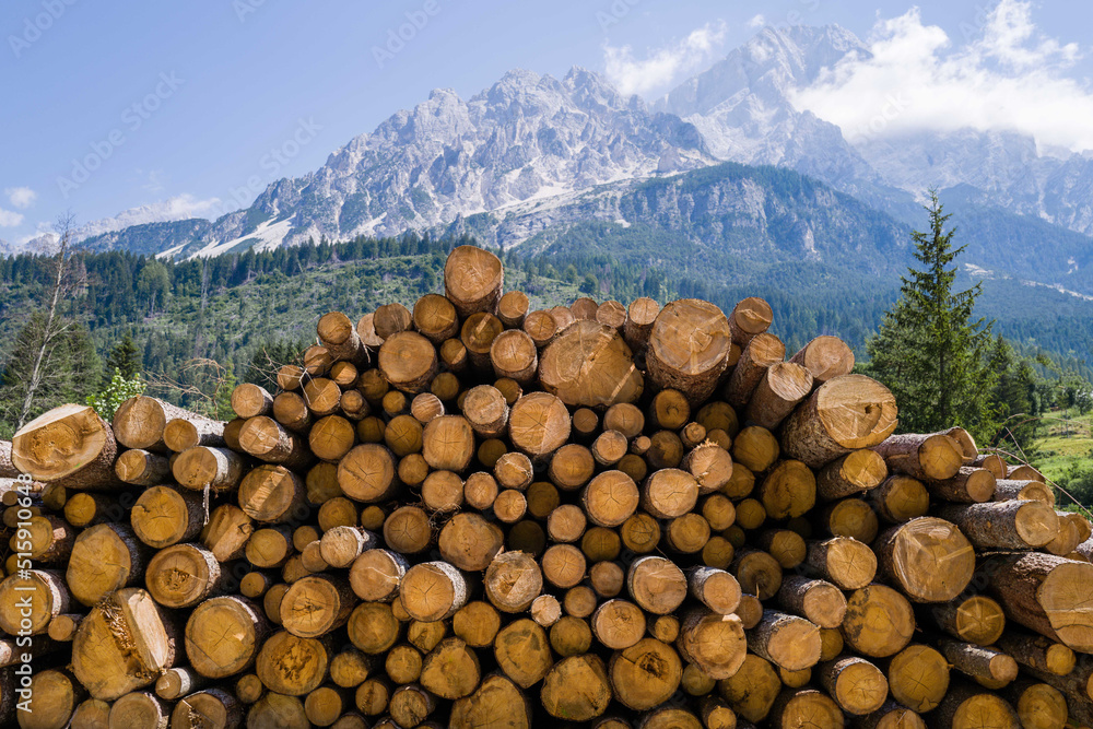 Stack of tree logs against the mountain backdrop