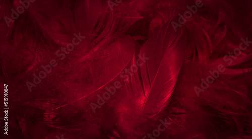 purple feathers with visible details. background or texture