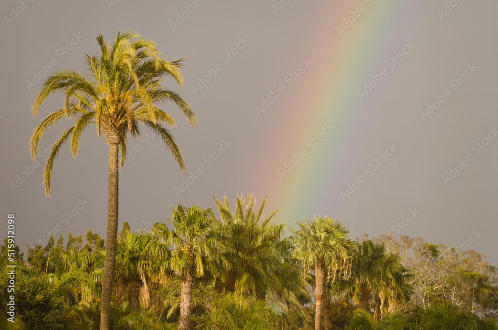 Fototapeta premium Rainbow over a garden. Tecina. San Sebastian de La Gomera. La Gomera. Canary Islands. Spain.