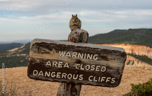 Fotografie, Obraz Fat Squirrel Sits On Warning Sign In Bryce Canyon