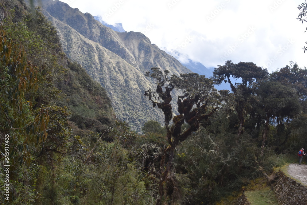 Hiking the green valleys and lush jungle and mountain landscape of the Inca Trail in Peru Hiking the green valleys and lush jungle and mountain landscape of the Inca Trail in Peru