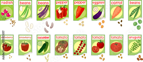 Set of open sachets with seeds of different vegetable plants isolated on white background