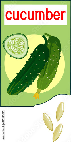 Open sachet with cucumber seeds isolated on white background