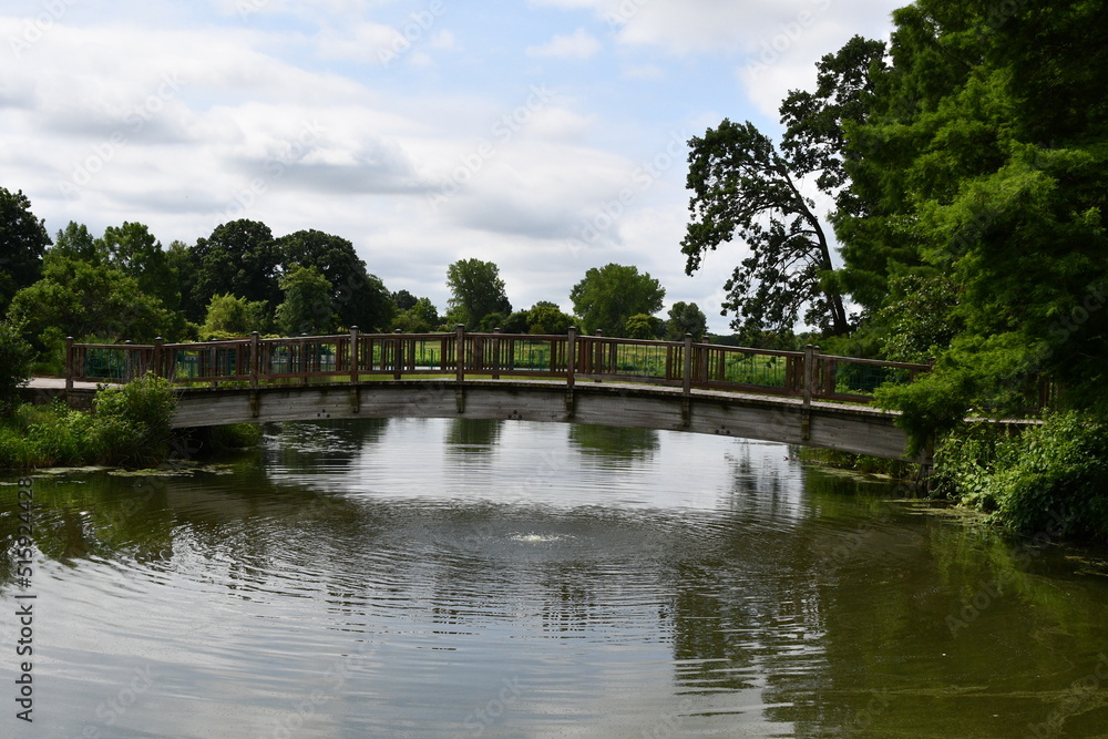Bridge Over a Lake