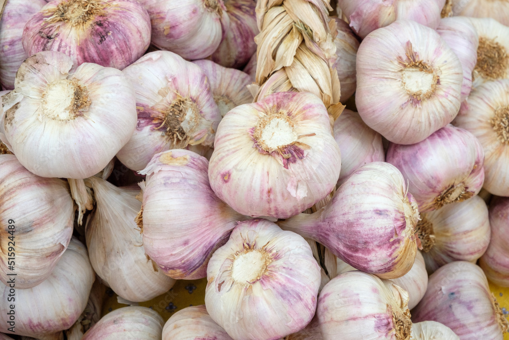 Garlic on Market in Provence Garlic on Market in Provence