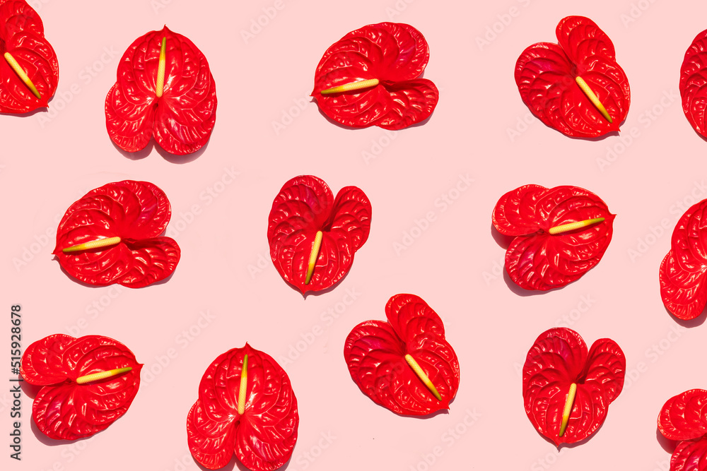 Red anthurium flowers on pastel light pink background. Creative tropical nature concept. Minimalistic pattern composition. Red anthurium flowers on pastel light pink background. Creative tropical nature concept. Minimalistic pattern composition.