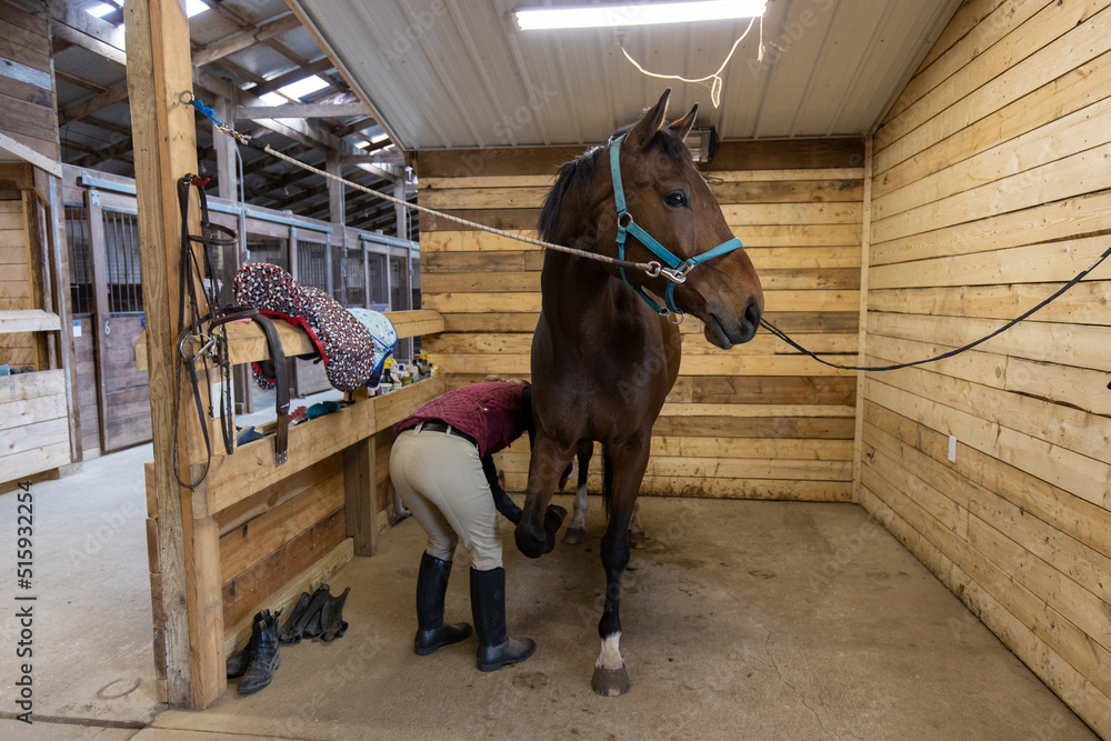 Woman grooming a horse inside a stall