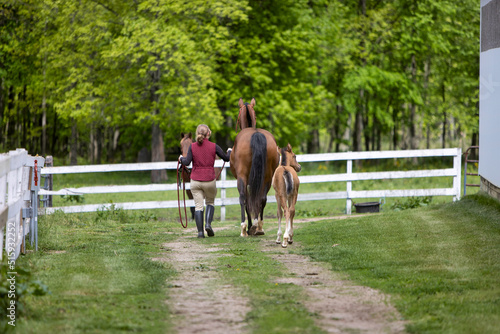 Woman walking with a mare and a foal.